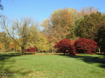 Arboretum Poortbulten